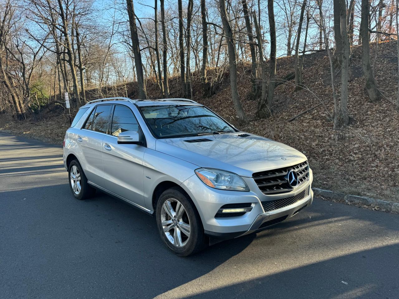 2012 Mercedes-Benz Ml 350 Bluetec VIN: 4JGDA2EB7CA029493 Lot: 85434774