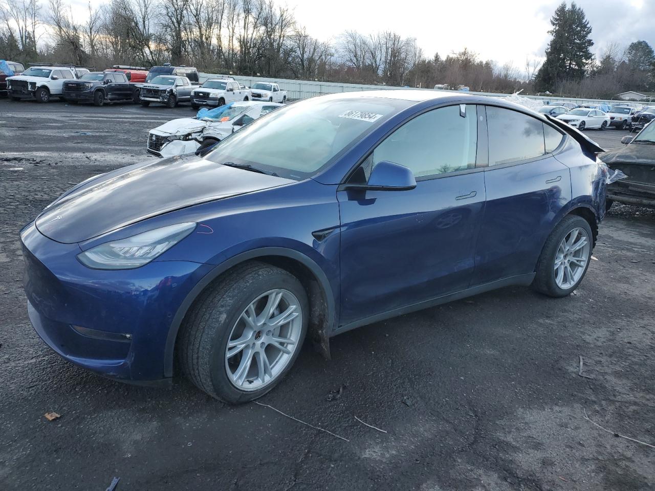 2021 Tesla Model Y VIN: 5YJYGDEE9MF173226 Lot: 86179854