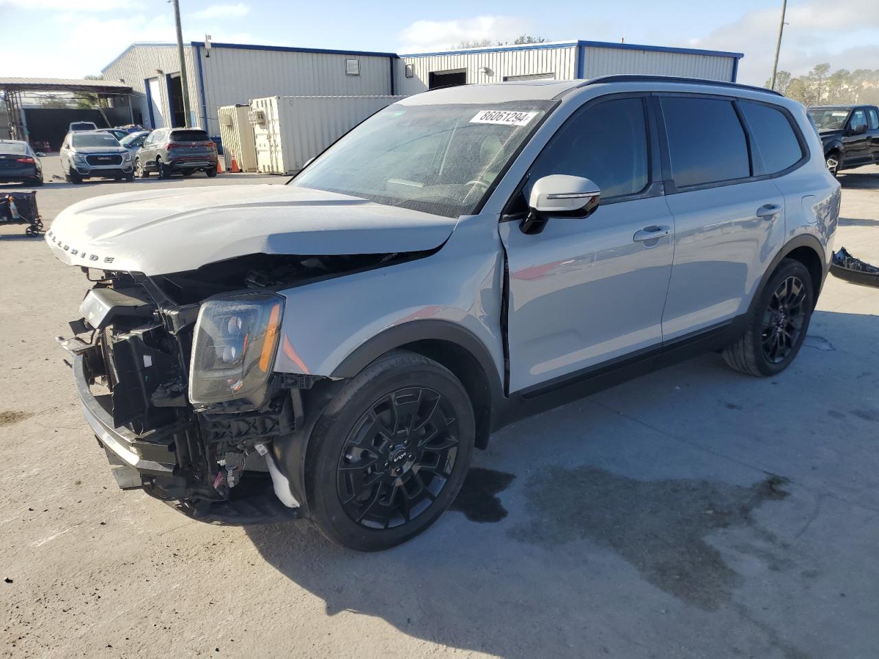 2022 Kia Telluride Sx VIN: 5XYP5DHCXNG216039 Lot: 86061294