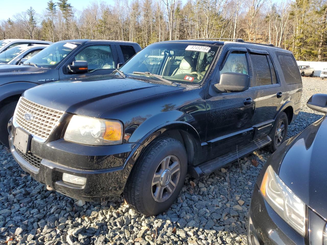 2004 Ford Expedition Eddie Bauer VIN: 1FMFU18L24LB39713 Lot: 82453164