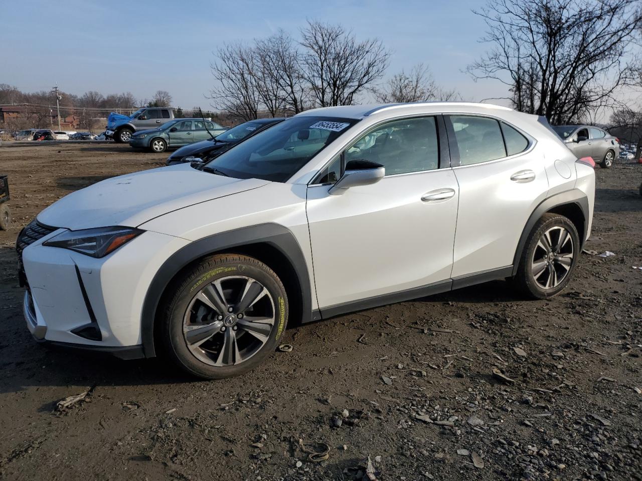 2021 Lexus Ux 200 VIN: JTHX3JBH4M2037480 Lot: 86453554