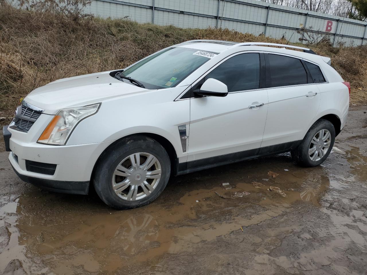 2010 Cadillac Srx Luxury Collection VIN: 3GYFNDEY5AS572980 Lot: 85468724