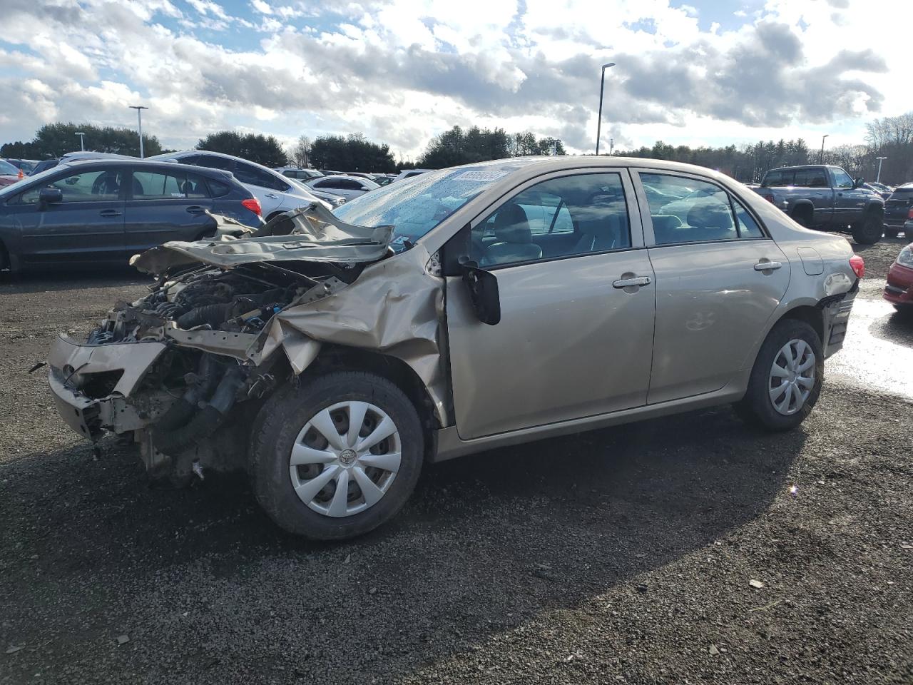 2010 Toyota Corolla Base VIN: 2T1BU4EE0AC495624 Lot: 86969354