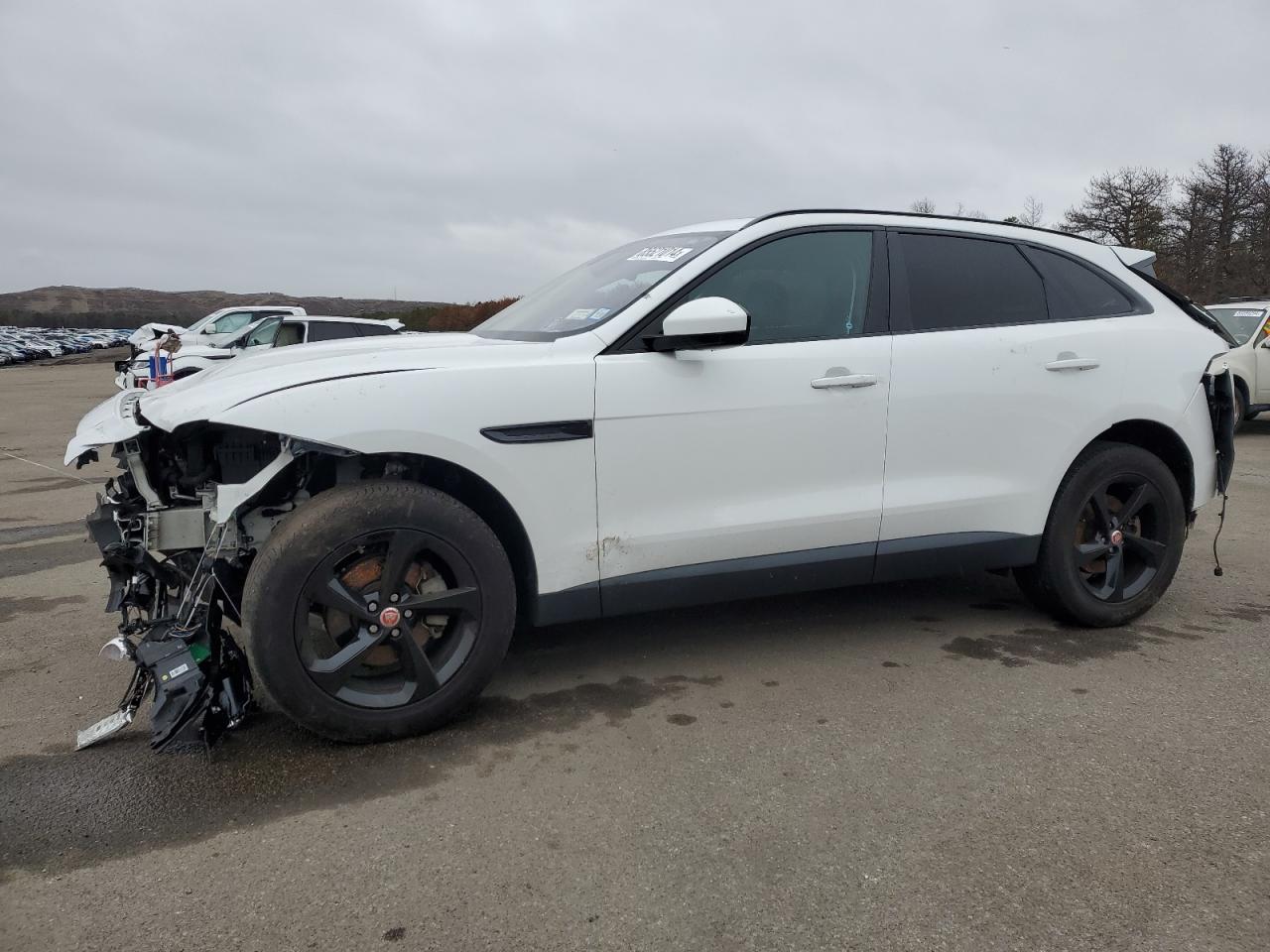 2019 Jaguar F-Pace Premium VIN: SADCJ2FX5KA393599 Lot: 85521014