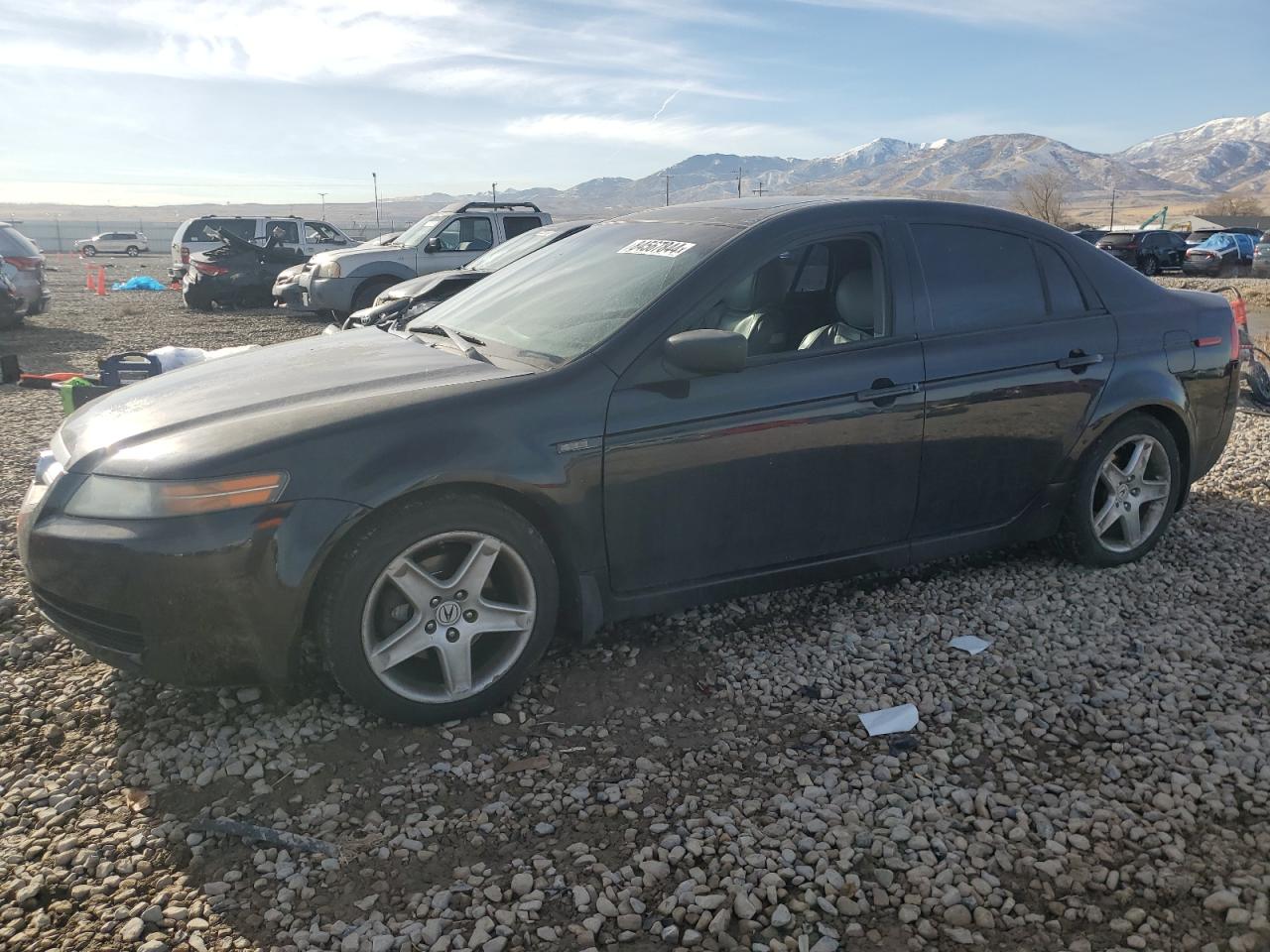 2006 Acura 3.2Tl VIN: 19UUA66256A057521 Lot: 84567844