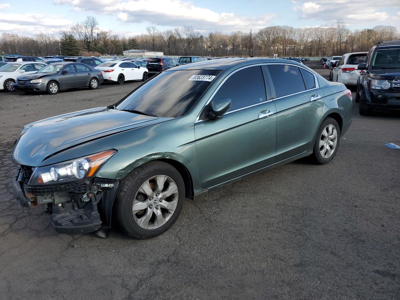 2010 Honda Accord Exl VIN: 1HGCP3F80AA017370 Lot: 83623774