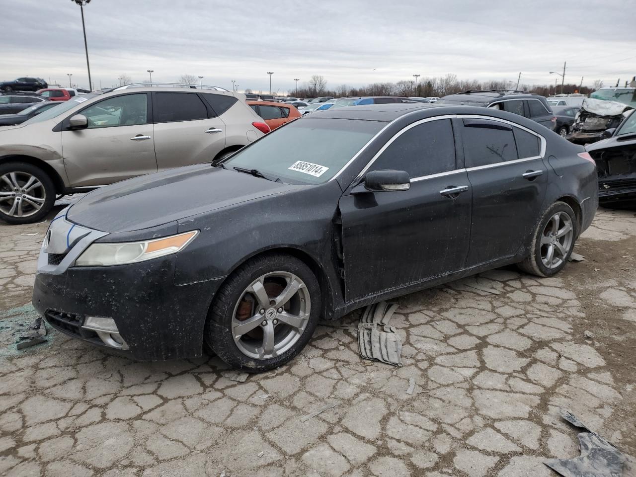 2009 Acura Tl VIN: 19UUA96549A005295 Lot: 85851014