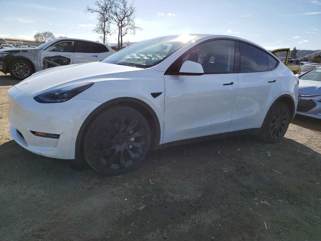 2024 Tesla Model Y VIN: 7SAYGAEE3RF043712 Lot: 86875964