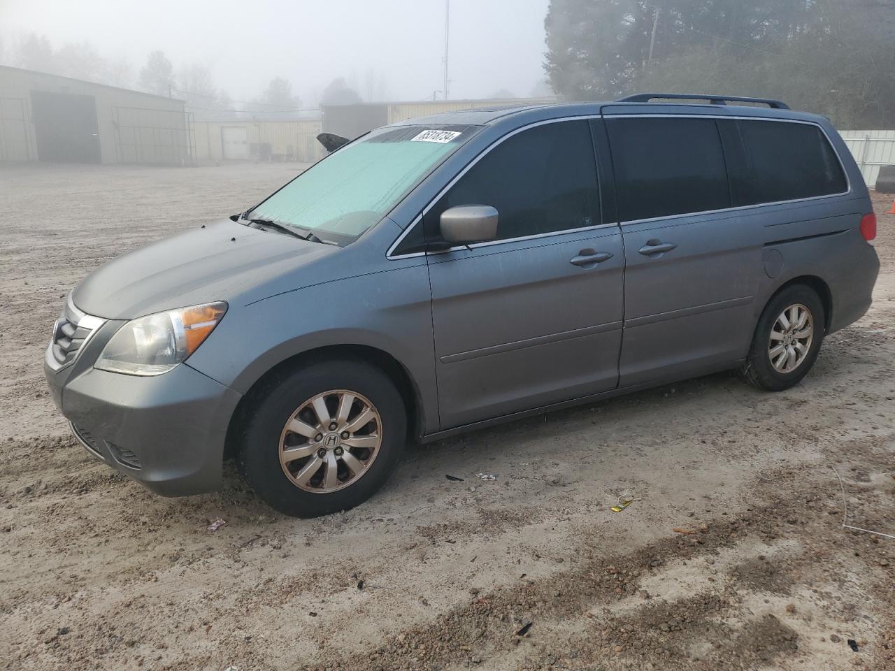 2009 Honda Odyssey Exl VIN: 5FNRL38769B031205 Lot: 85318734