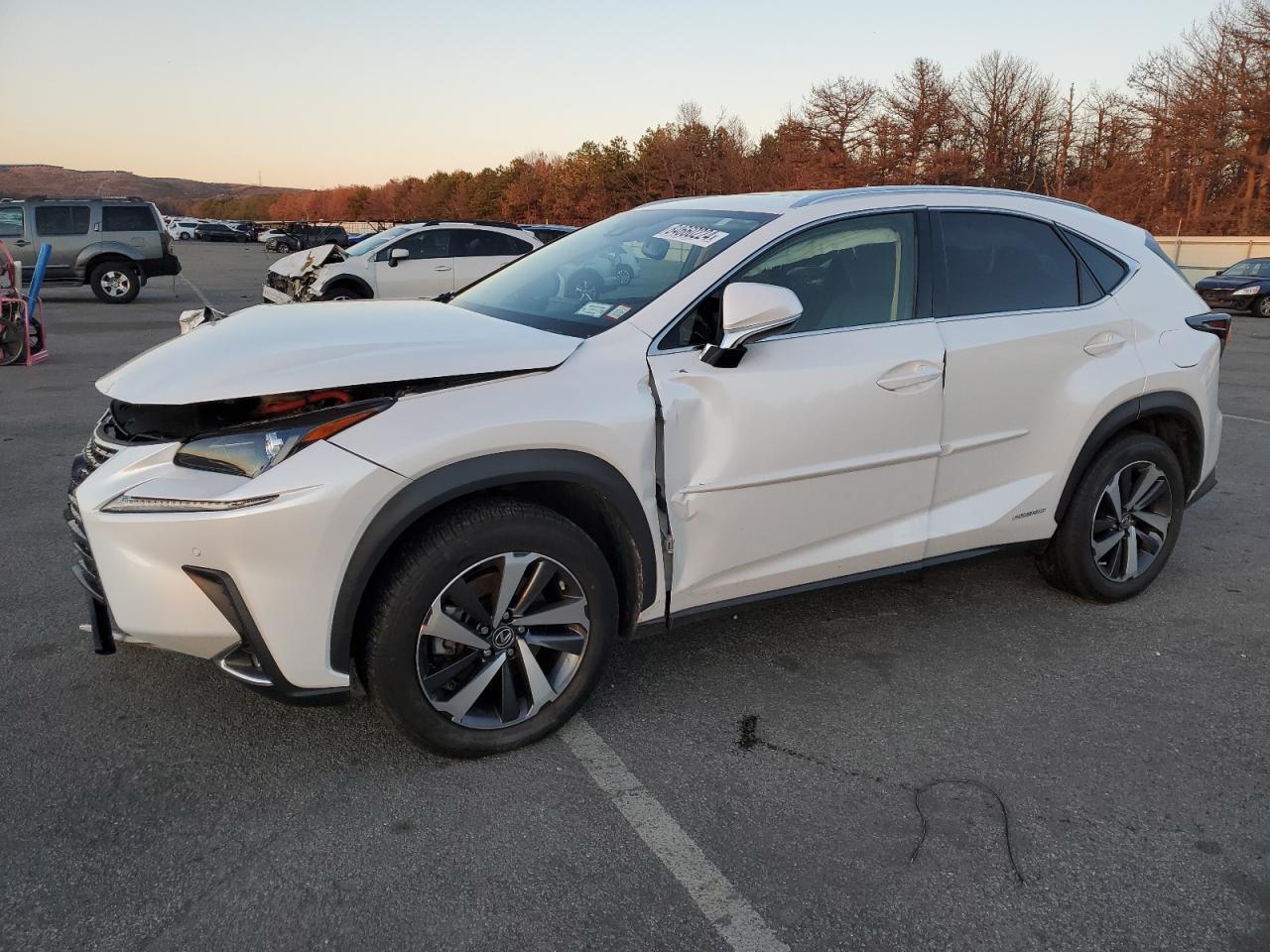 2021 Lexus Nx 300H Base VIN: JTJGJRDZ3M2155318 Lot: 84660224