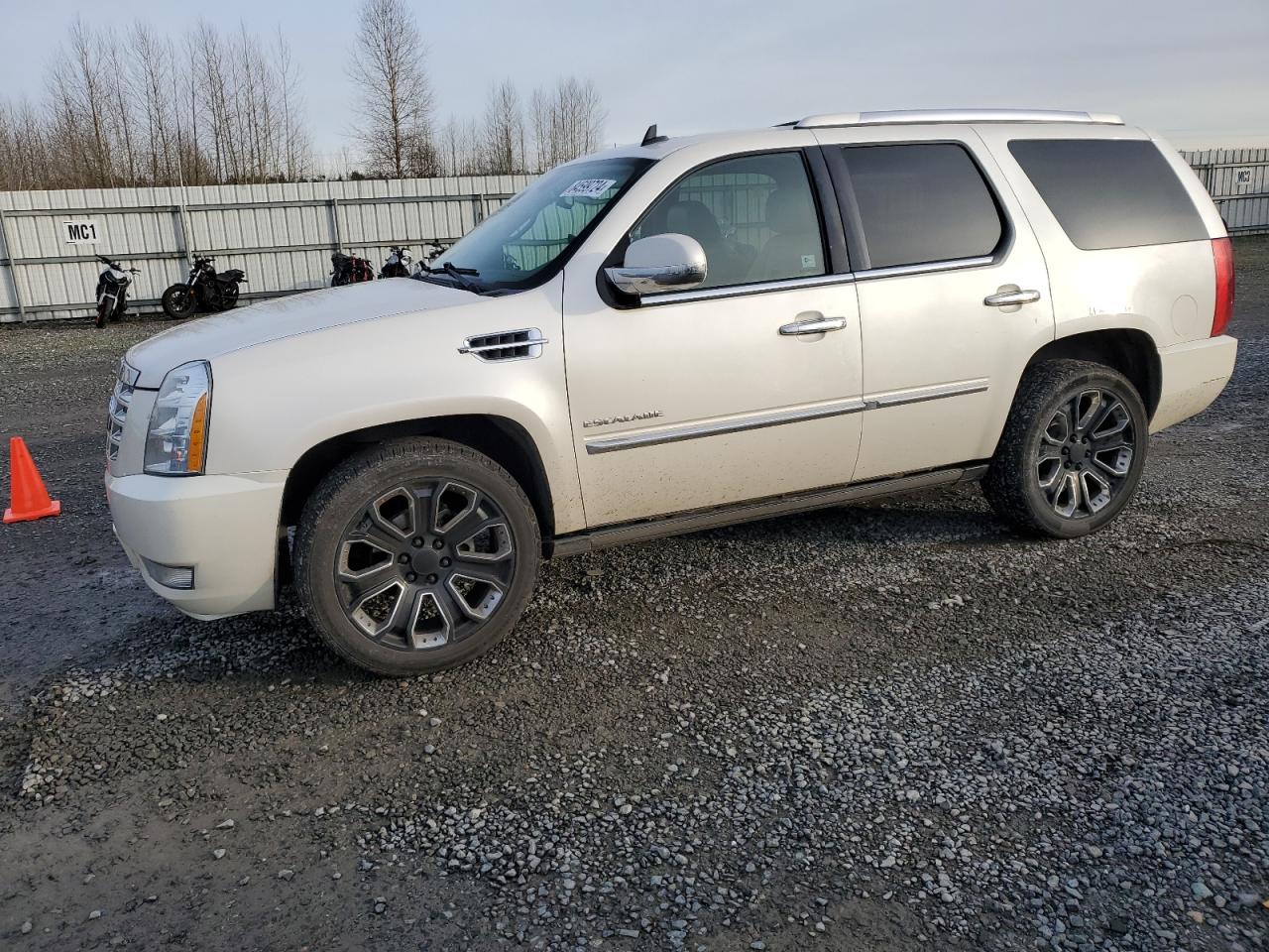 2010 Cadillac Escalade Premium VIN: 1GYUKCEF0AR265941 Lot: 84599724