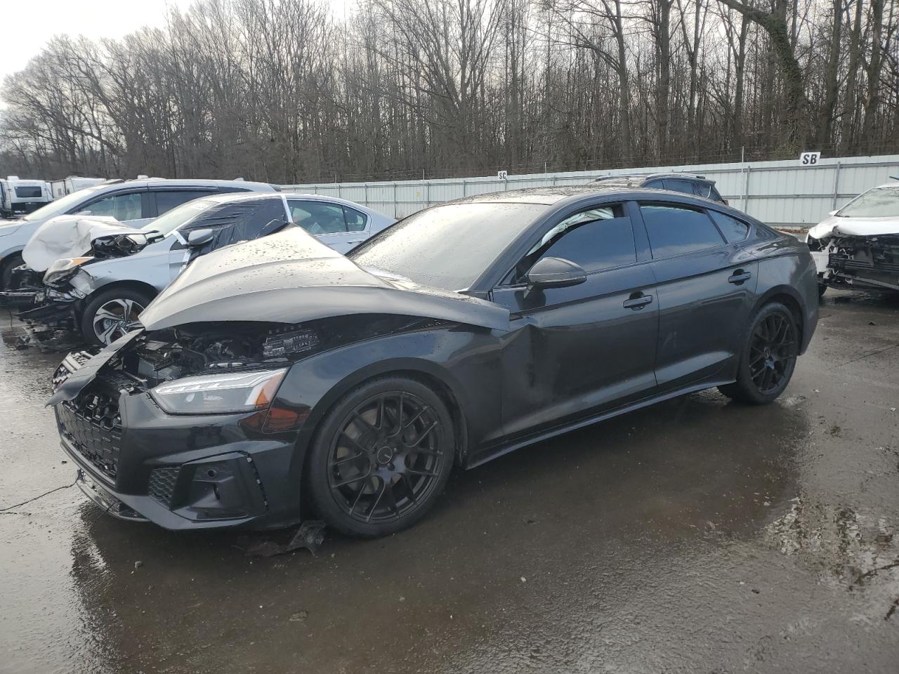 2024 Audi S5 Premium VIN: WAUA4CF51RA077171 Lot: 86440434