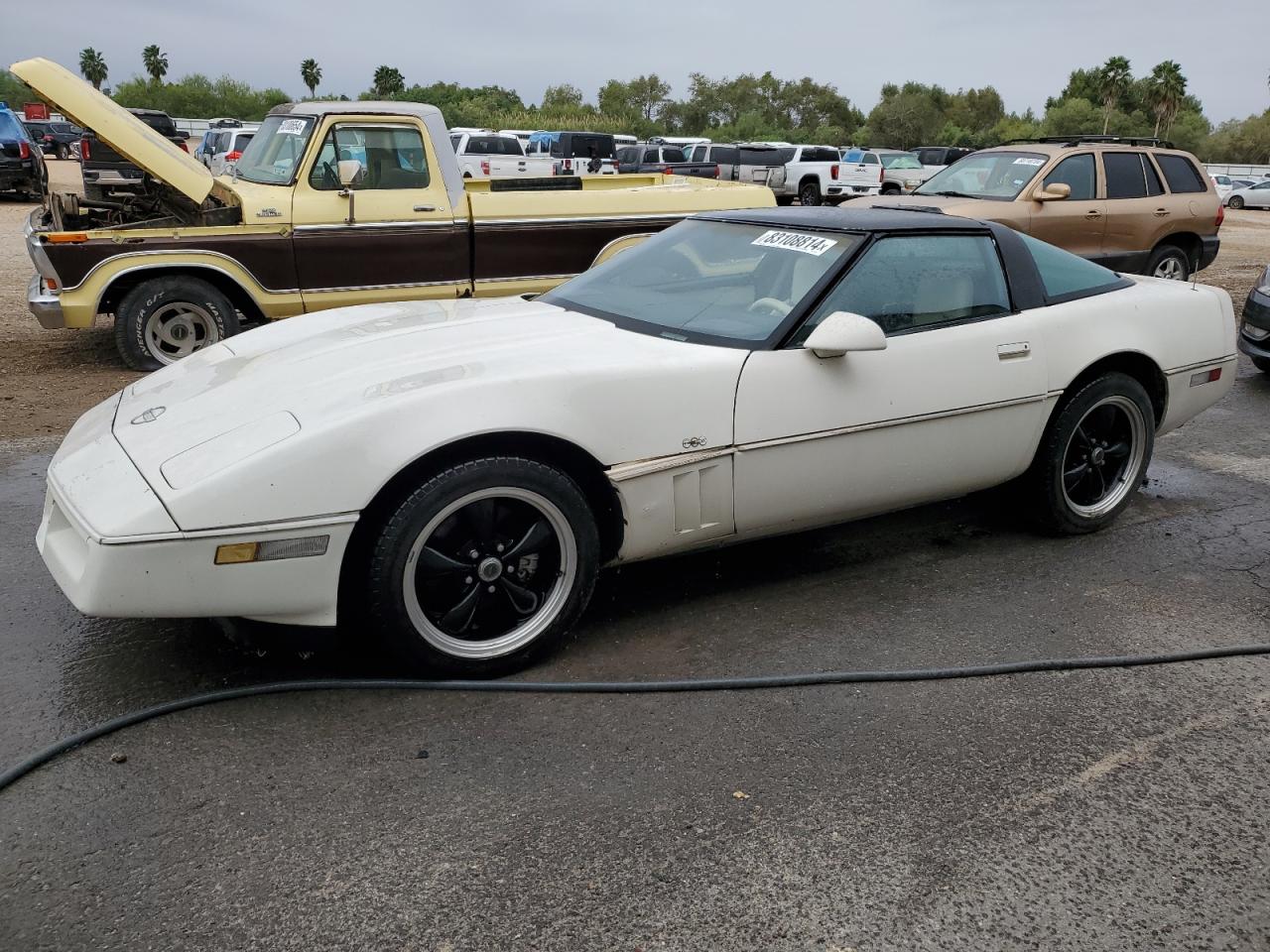 1988 Chevrolet Corvette VIN: 1G1YY2184J5117184 Lot: 83108814