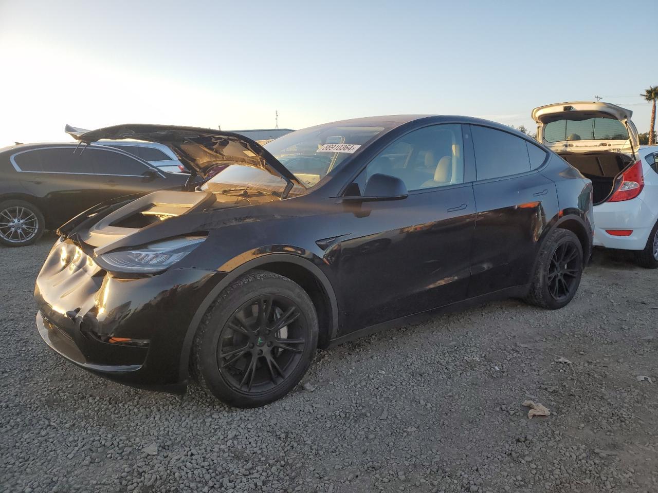 2023 Tesla Model Y VIN: 7SAYGDEE8PA073543 Lot: 86910364