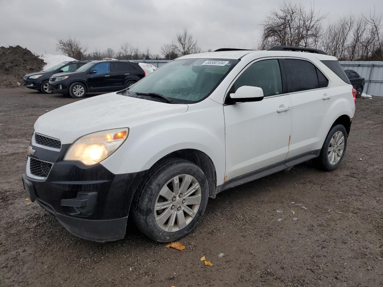 2010 Chevrolet Equinox Lt VIN: 2CNALDEW4A6404908 Lot: 85580104