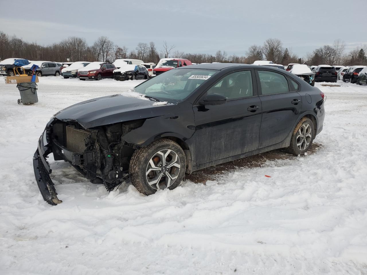 2021 Kia Forte Fe VIN: 3KPF24AD5ME380270 Lot: 85565634