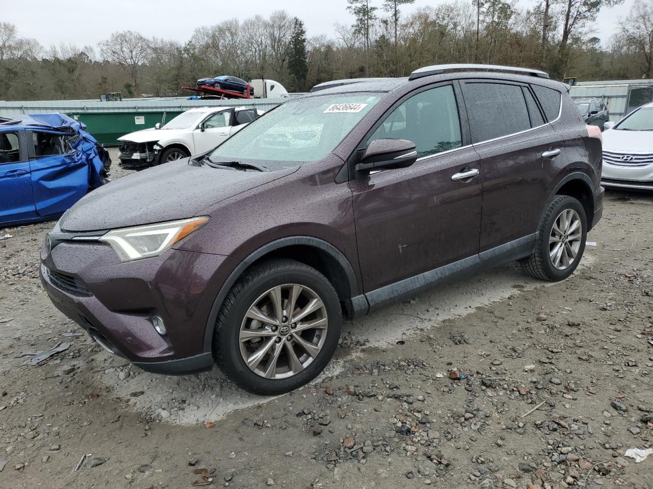 2017 Toyota Rav4 Limited VIN: 2T3YFREV8HW341325 Lot: 86436644