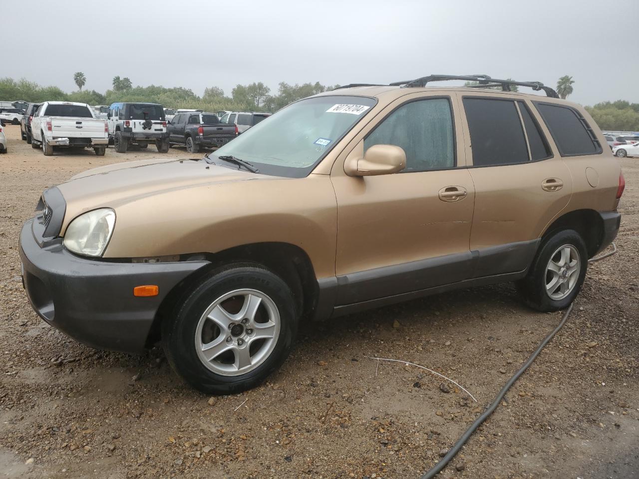 2004 Hyundai Santa Fe Gls VIN: KM8SC13D64U638588 Lot: 83080394