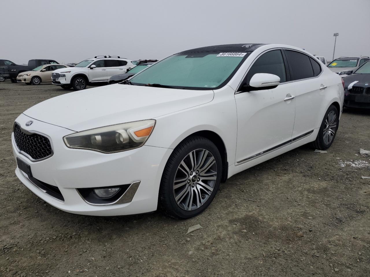 2015 Kia Cadenza Premium VIN: KNALN4D70F5174298 Lot: 86166864