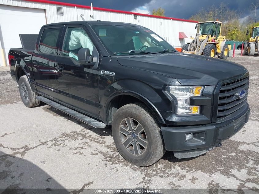 2015 Ford F-150 Xlt VIN: 1FTEW1EF9FKD33608 Lot: 37829309