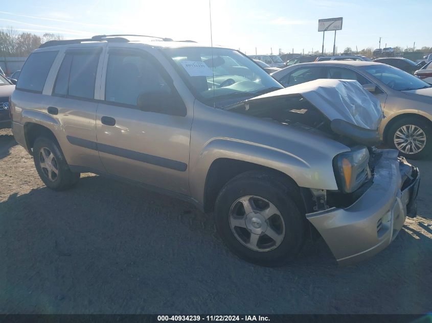 2005 Chevrolet Trailblazer Ls VIN: 1GNDS13S552192999 Lot: 40934239