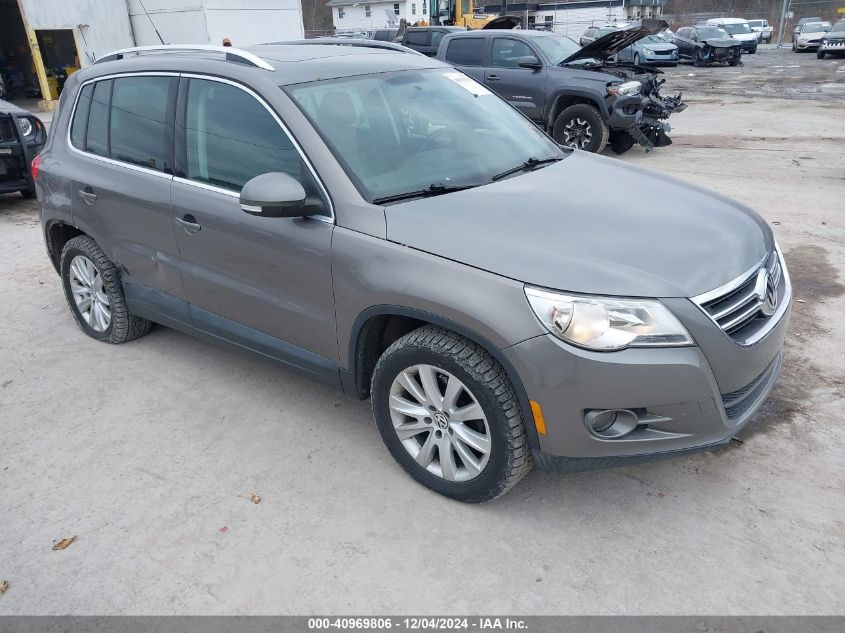 2010 Volkswagen Tiguan Wolfsburg Edition VIN: WVGBV9AX1AW513858 Lot: 40969806