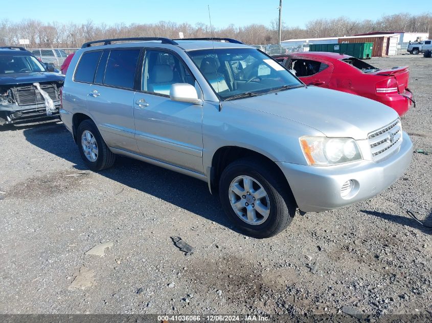 2002 Toyota Highlander V6 VIN: JTEHF21A320063998 Lot: 41036066