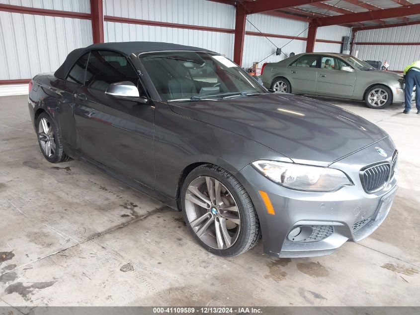 2017 BMW 230I VIN: WBA2K9C52HV647106 Lot: 41109589