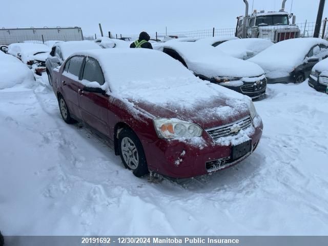 2006 Chevrolet Malibu Ls VIN: 1G1ZS51F26F294534 Lot: 20191692