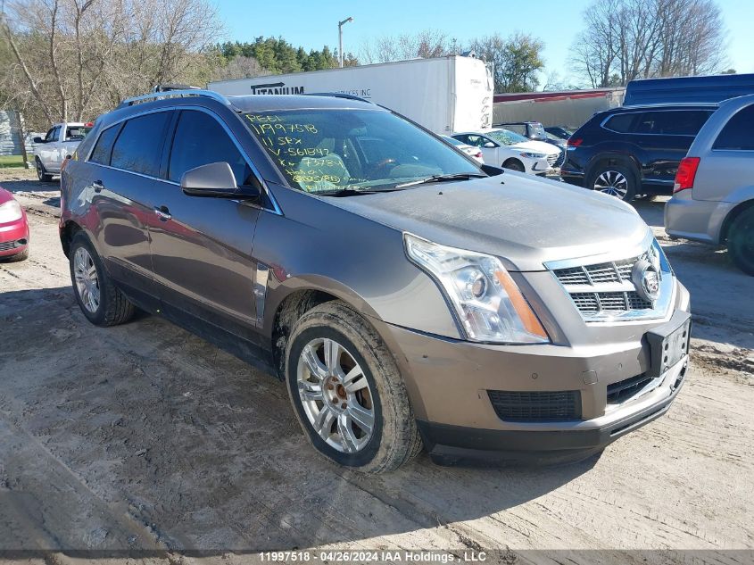 2011 Cadillac Srx Luxury Collection VIN: 3GYFNDEY2BS561842 Lot: 11997518