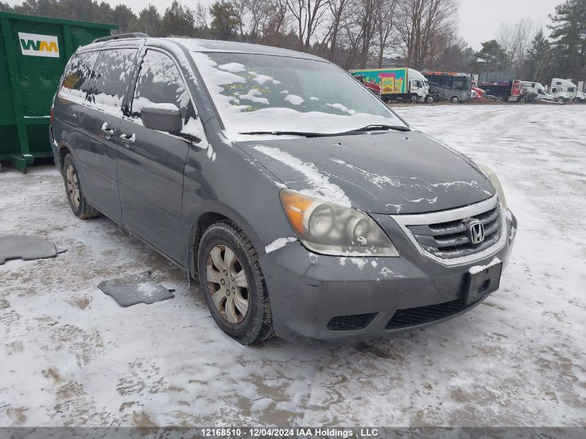 2010 Honda Odyssey VIN: 5FNRL3H57AB506900 Lot: 12168510