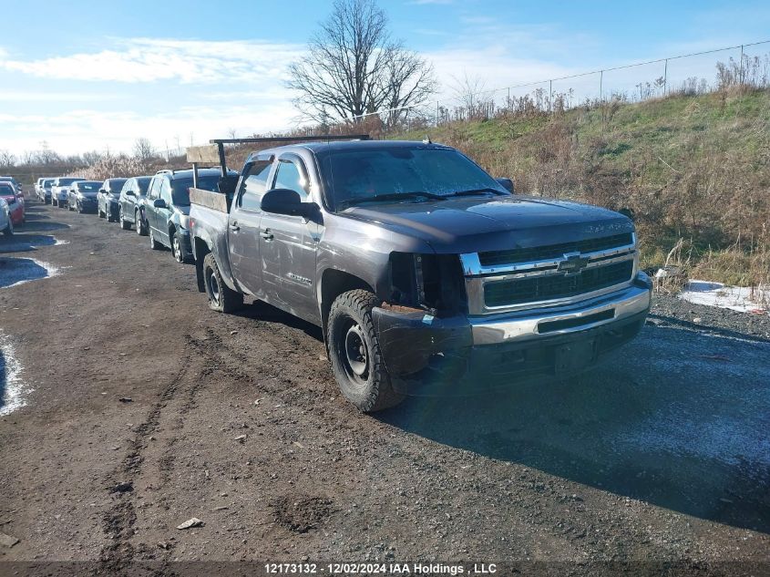 2010 Chevrolet Silverado 1500 VIN: 3GCRKSE37AG149079 Lot: 12173132