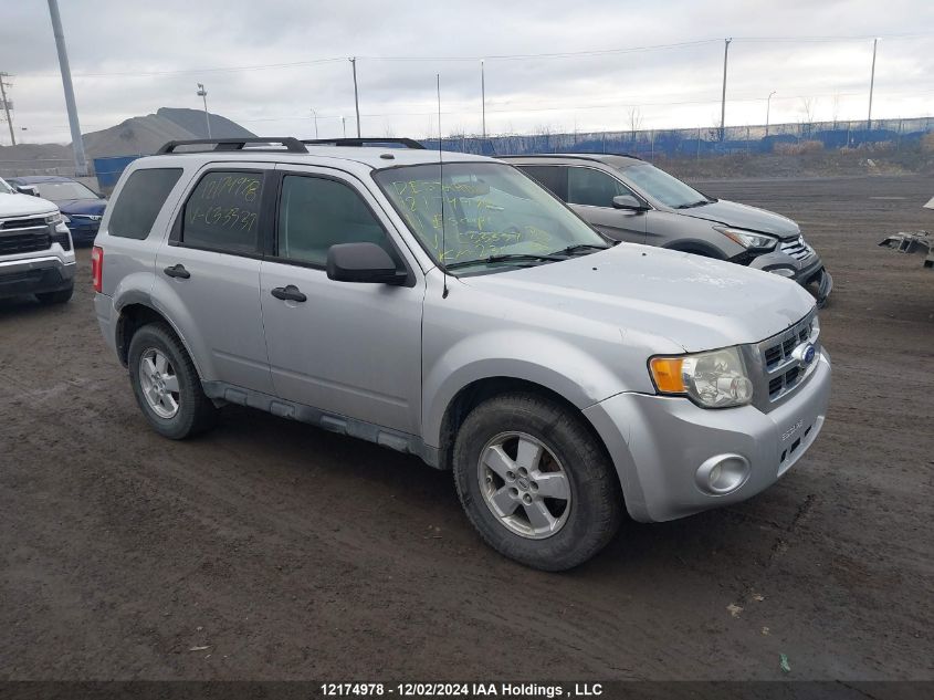 2011 Ford Escape Xlt VIN: 1FMCU9DG3BKC33337 Lot: 12174978