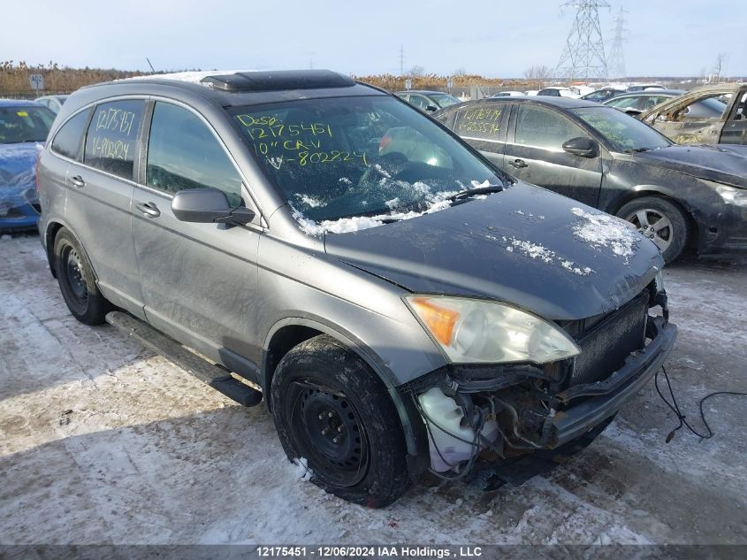 2010 Honda Cr-V Ex VIN: 5J6RE4H58AL802824 Lot: 12175451