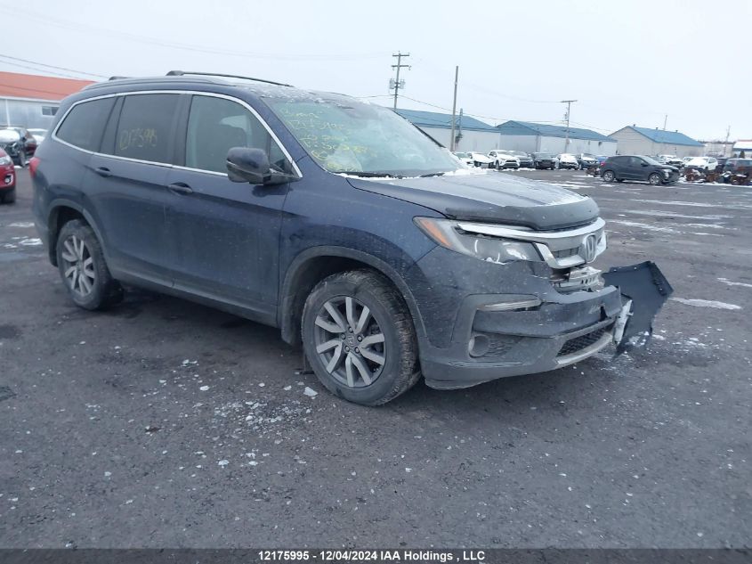 2020 Honda Pilot VIN: 5FNYF6H72LB503878 Lot: 12175995