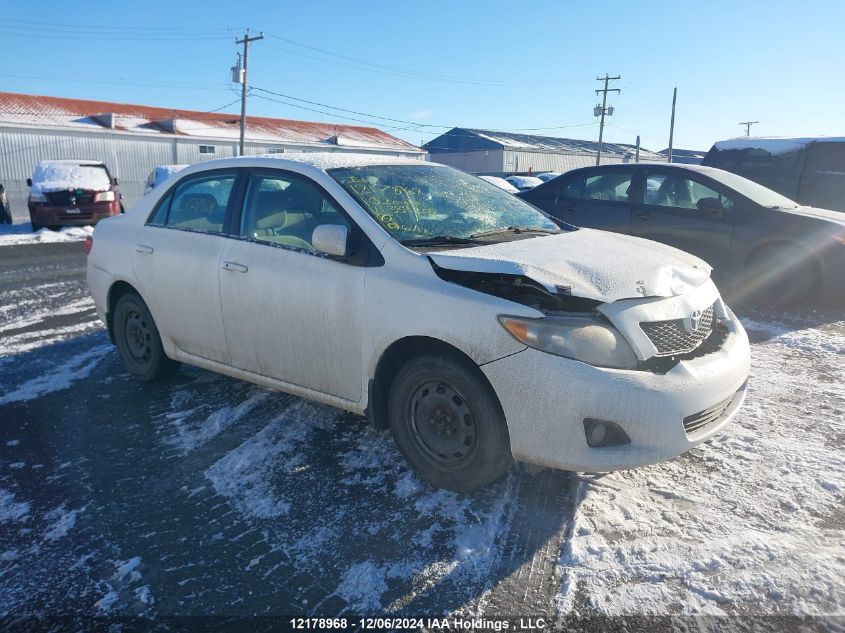 2010 Toyota Corolla VIN: 2T1BU4EE7AC339208 Lot: 12178968