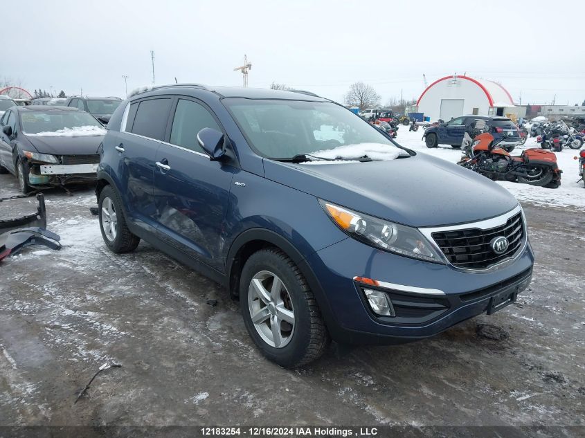 2016 Kia Sportage VIN: KNDPCCA64G7843436 Lot: 12183254